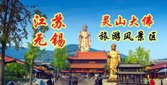 猛扦阴道江苏无锡灵山大佛旅游风景区